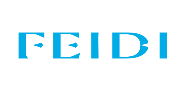新FEIDI LOGO-英文网站(1).png